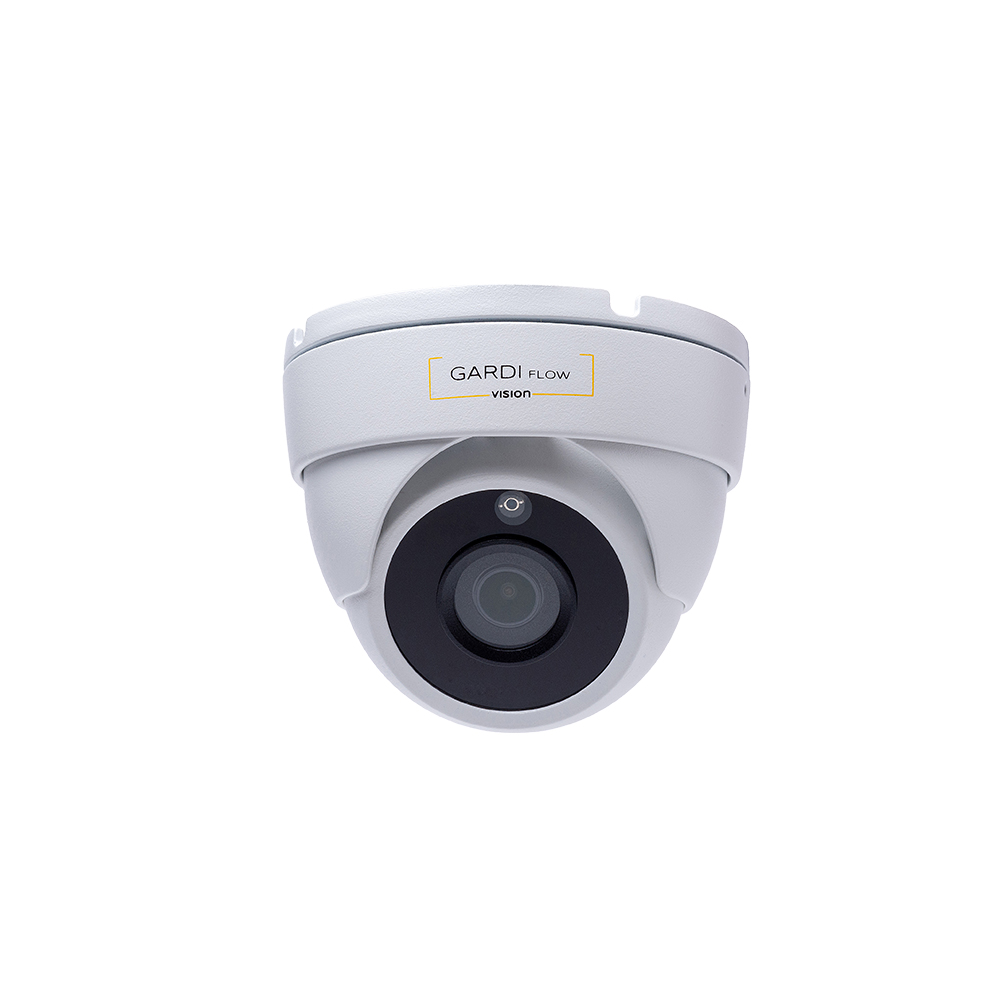 Камера видеонаблюдения GuardVision GV30DF28PMic-old